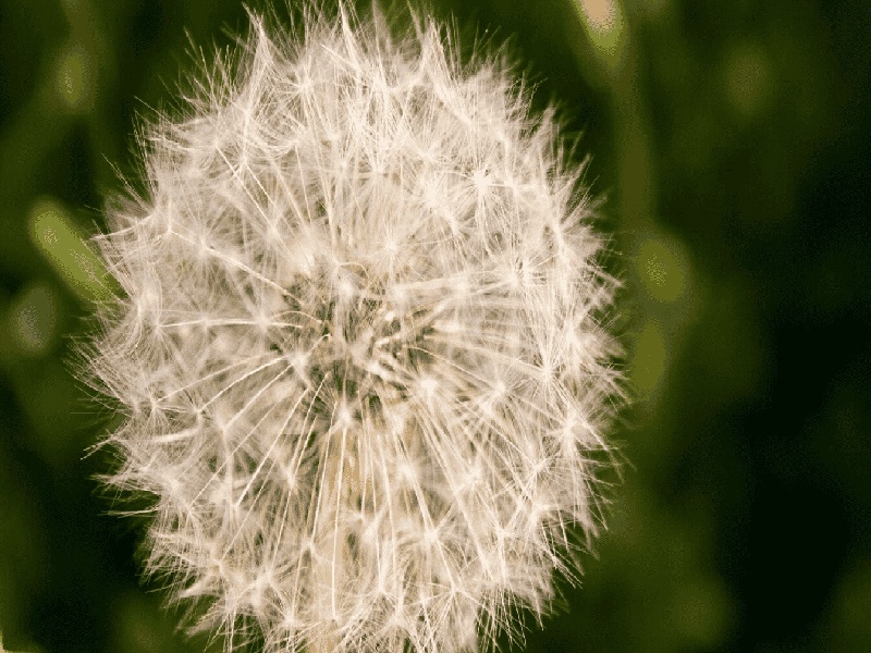 试管突然破裂原因物理实验加热试管原理核酸采集怎么固定试管